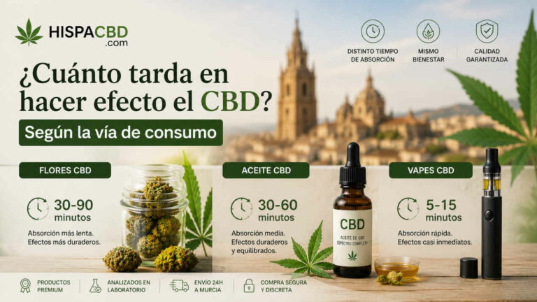efecto-cbd-consumo Blog 13