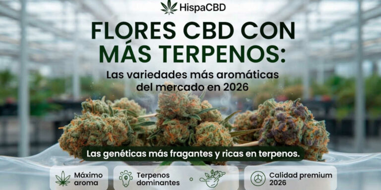 HispaCBD 2