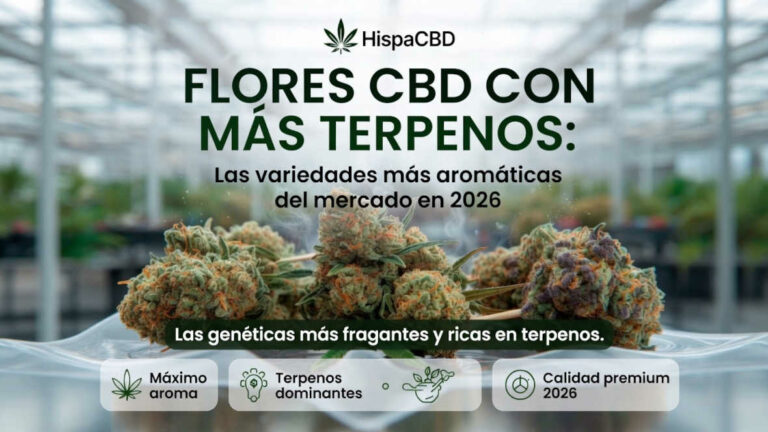 flores-cbd-con-mas-terpenos Blog 40