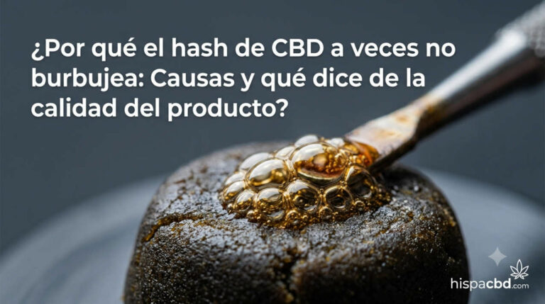 porque-hash-cbd-no-burbujea Blog 34