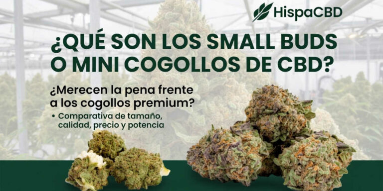 HispaCBD 1