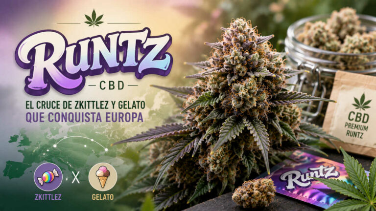 variedad-flores-runtz Blog 10